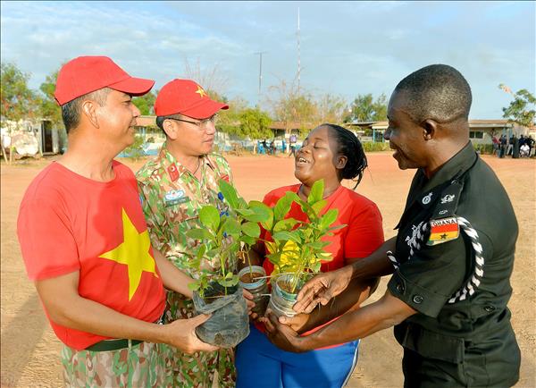 Màu của hòa bình