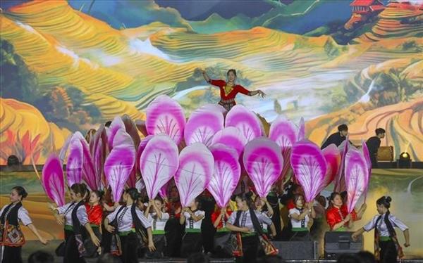 La Fête des fleurs de bauhinie 2026 sépanouit plus tôt à Diên Biên