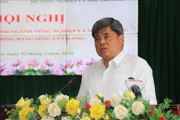 Đồng bằng sông Cửu Long giữ vững vai trò vựa lúa trước thách thức hạn hán, xâm nhập mặn