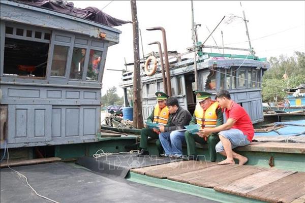 Misión de la CE evaluará esfuerzos de Vietnam contra la pesca ilegal en marzo