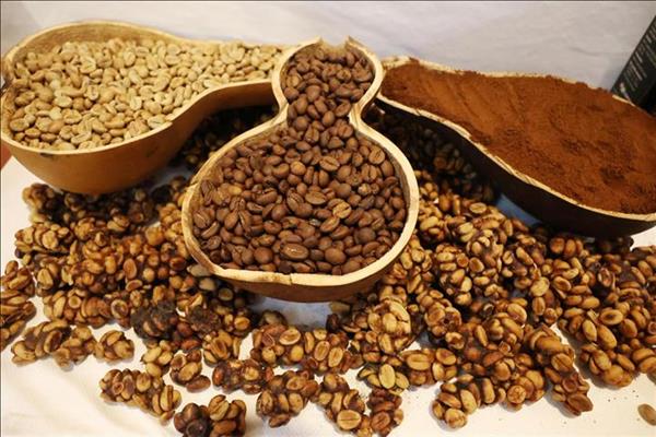 Restructuration des produits agricoles vietnamiens pour consolider leur position sur le marché mondial