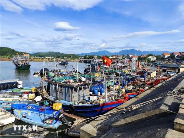 Khanh Hoa ensures transparency in data to address IUU fishing