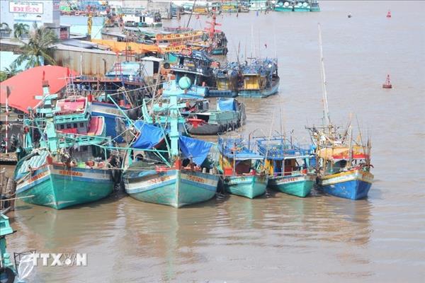 Nghe An tightens monitoring of fishing vessels to address IUU yellow card
