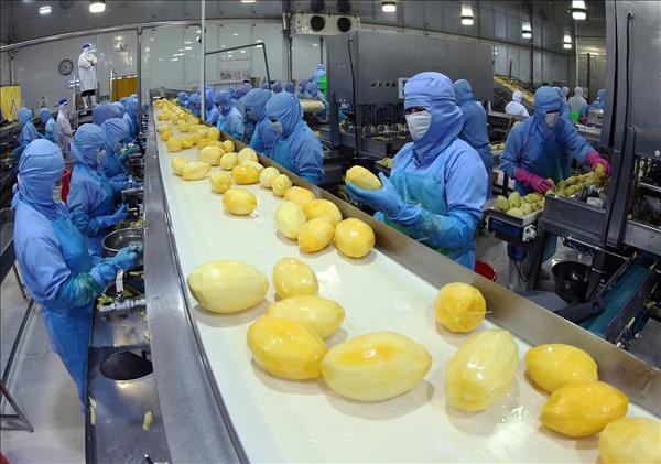 Xung đột tại Trung Đông: Một số khuyến nghị đối với doanh nghiệp Việt Nam khi xuất khẩu hàng hóa sang UAE