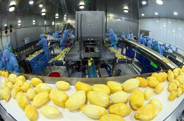 ANTESCO xuất khẩu hơn 75.000 tấn nông sản rau quả đông lạnh