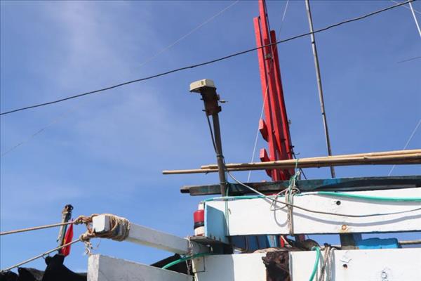 INN : Hô Chi Minh-Ville renforce la surveillance des navires de pêche non réglementés