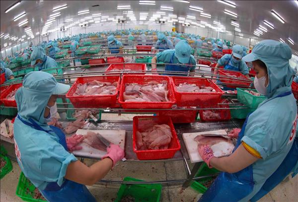 Agro-forestry-fishery exports up over 17% in first two months