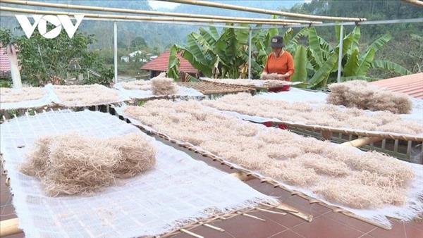 ヌン族在住の村、伝統的な「手作りカンナ春雨」の製法を守る