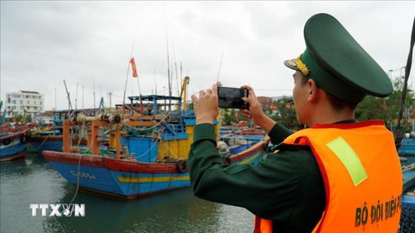 嘉莱省成为全国首个为渔船安装巡航监控设备的省份