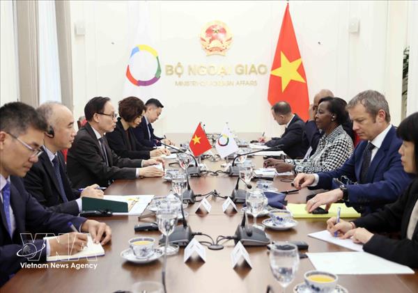 Vietnam always treasures cooperation with Francophone community: FM
