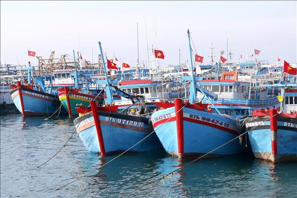 Lam Dong orders swift action to address IUU fishing gaps