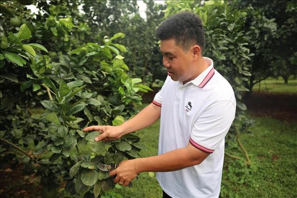 Nông dân, hợp tác xã vào guồng sản xuất sau Tết