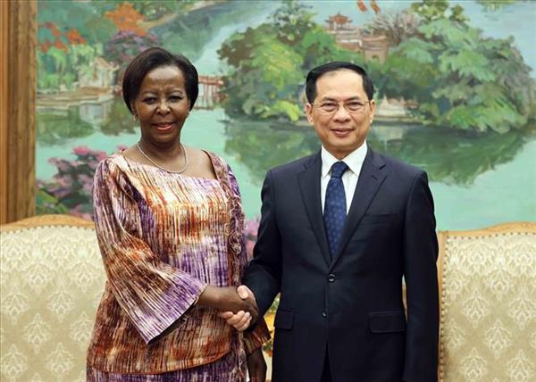 OIF秘书长：越南发展成就令法语国家共同体自豪