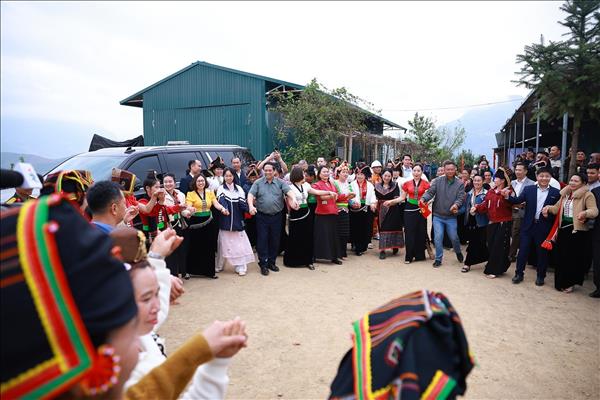 នាយករដ្ឋមន្ត្រី លោក ហ្វាម មិញ ជីញ អញ្ជើញទស្សនាគំរូដាំដើមម៉ាកាដាមៀ នៅខេត្តឌៀនបៀន