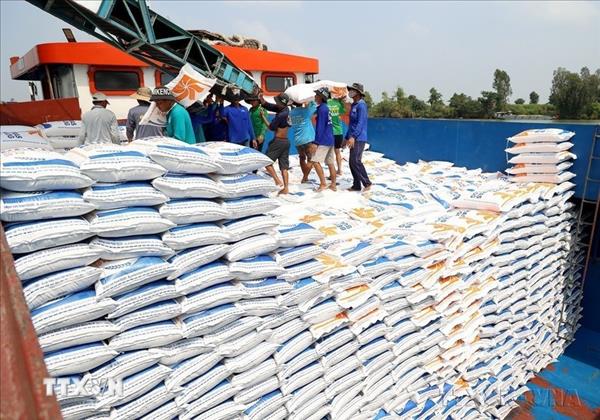 Rice exports up 5% in volume in first two months of 2026