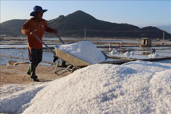 Agro-Forestry-Fishery Exports: Proactive Risk Response Needed to Sustain Growth