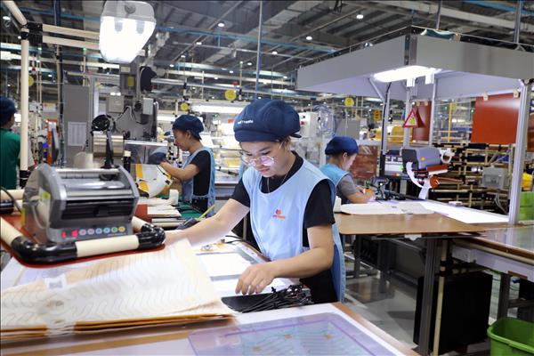 Đơn hàng xuất khẩu tăng, doanh nghiệp tại Ninh Bình tăng tốc sản xuất