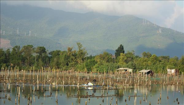 Lap An Lagoon: The Quiet Beauty Beneath Vietnams Hai Van Pass