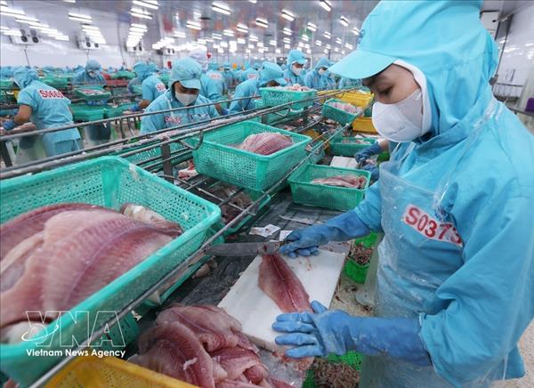 Vietnam prepara respuestas proactivas para sostener el ritmo de exportaciones