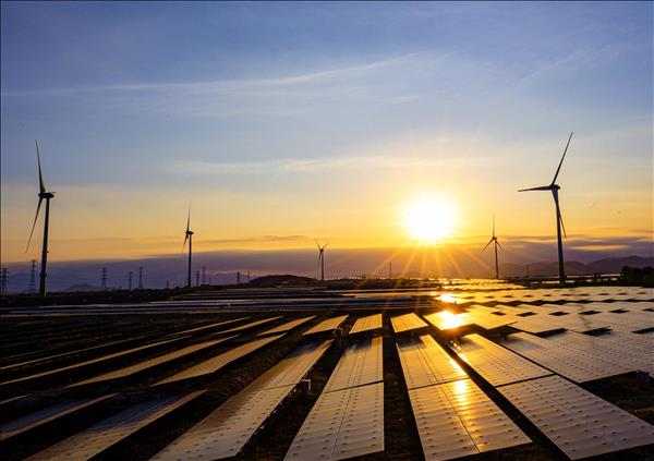 Nghị quyết 57-NQ/TW: Đòn bẩy thúc đẩy phát triển năng lượng tái tạo tại Việt Nam