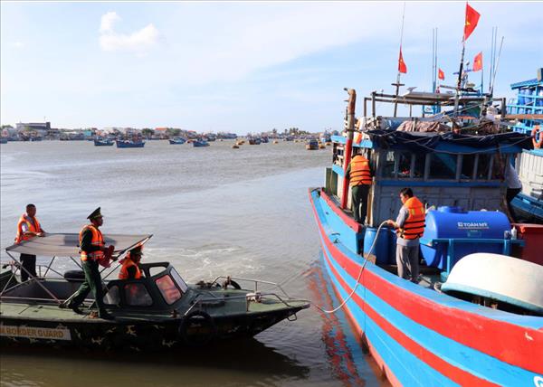 Traçabilité, contrôle et sensibilisation : la stratégie de Khanh Hoa contre la pêche INN