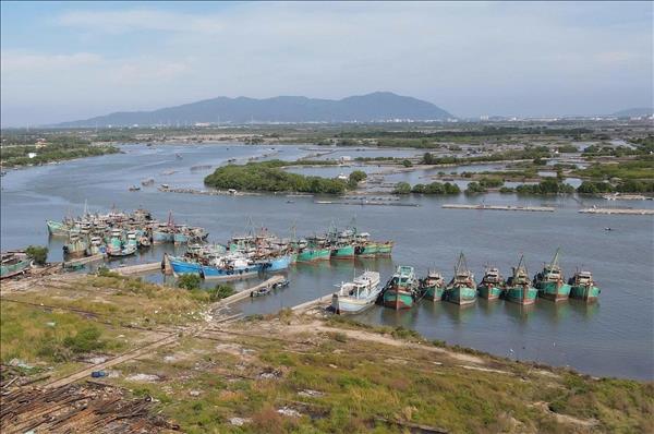 Fishing solidarity groups help Vietnam with IUU yellow card warning removal