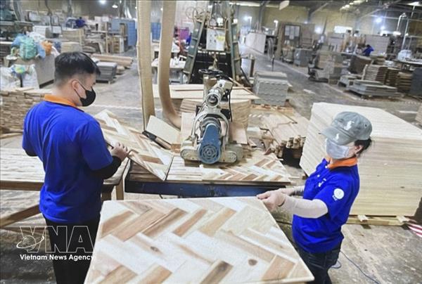 Vietnamese businesses ride wave of investment in green manufacturing