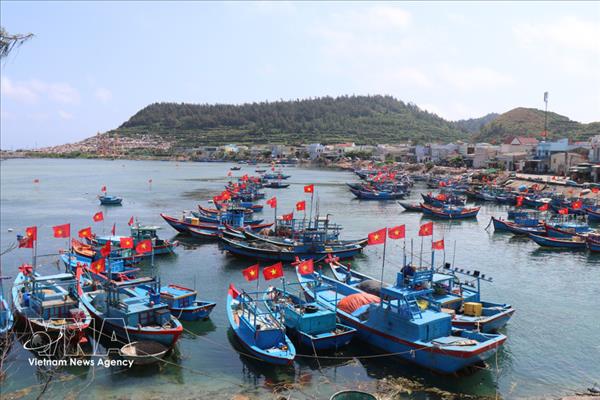 逐浪油价巅峰：乂安与广义两省渔民奋力坚守渔场