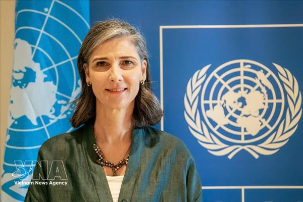 UNDP驻越首席代表：换届选举有助于维持越南令人印象深刻的经济社会发展成就