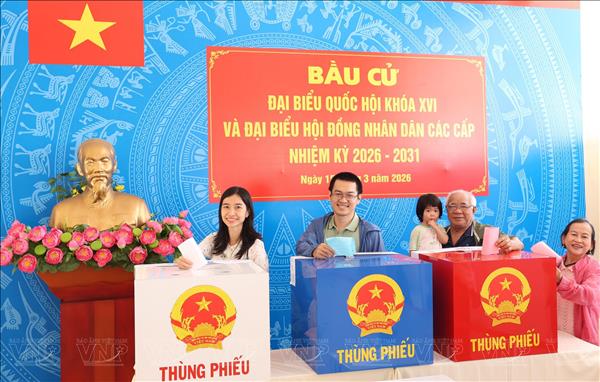 Cử tri Thành phố Hồ Chí Minh đi bỏ phiếu đạt tỷ lệ 96,67%