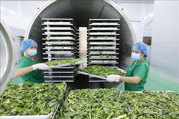 New business establishments surge over 70% in first two months of 2026