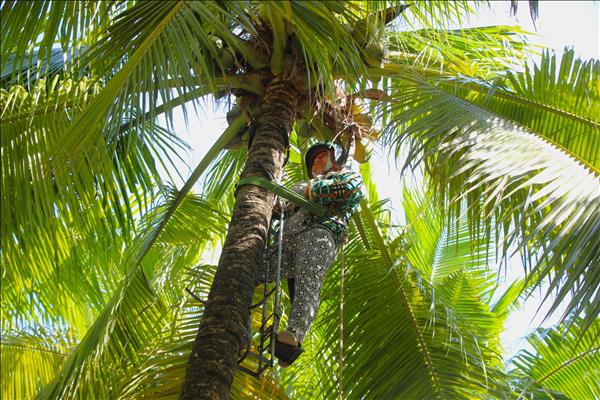 Phát huy lợi thế sông nước, xây dựng sản phẩm du lịch sinh thái đặc thù