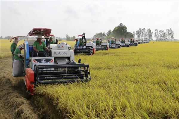 베트남 2026년 1분기, 농림수산물 수출액 167억 달러 육박…전년비 5.9% 증가