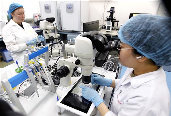 AI – unmissable opportunity for Vietnam: Experts