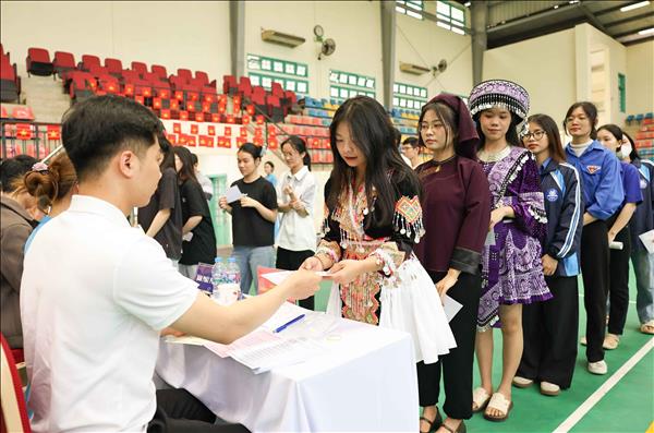 Indian scholar highlights Vietnamese NAs legislative role and renovation