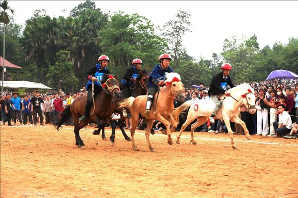 Nét riêng độc đáo của đua ngựa vùng cao thu hút du khách