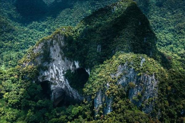 Phong Nha – Kẻ Bàng, kho báu sinh học giữa đại ngàn Trường Sơn