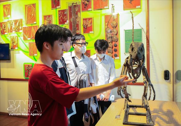 Museos de naturaleza en Vietnam impulsan turismo educativo y ecológico