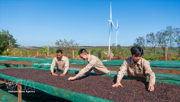 Vietnam y Rusia amplían la cooperación comercial