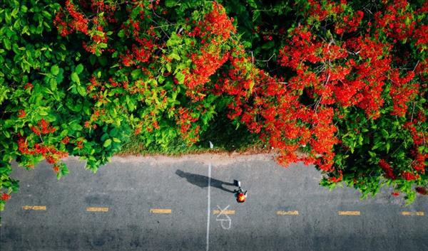 2026年南方解放日和五一节假期：越南游客青睐短途跨境游及新奇体验