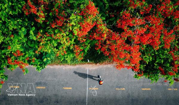 Vietnamese travellers favour nearby overseas trips, unique experiences for April 30 holiday