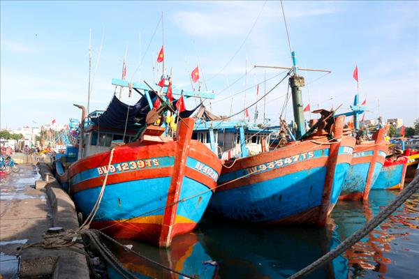 Herramientas digitales impulsan transición de Vietnam hacia una pesca más inteligente