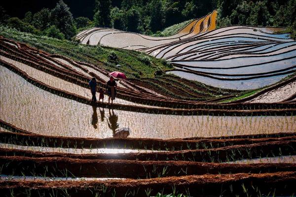 Vietnam named among worlds 28 most beautiful countries