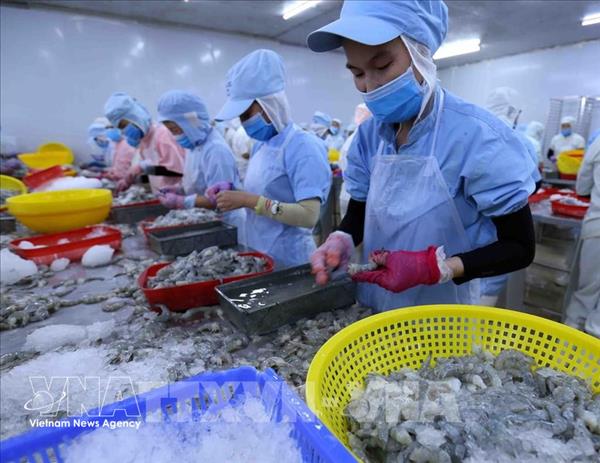 International sourcing expo to open new supply chain links for Vietnams seafood sector