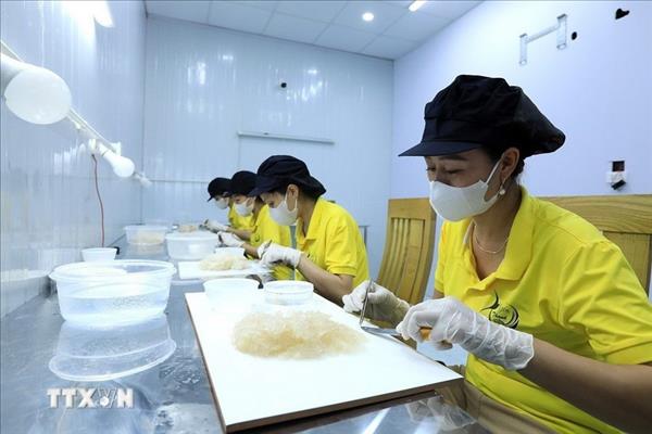 越南农业与环境部建议出口食品企业关注中国新注册规定