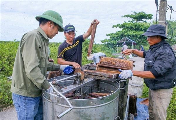 Xuan Thuy named ASEAN Heritage Park
