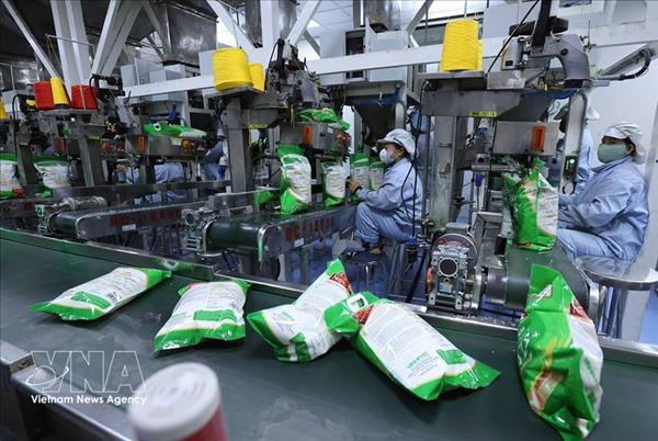 Exportations de riz : le Vietnam mise sur la diversification et la qualité