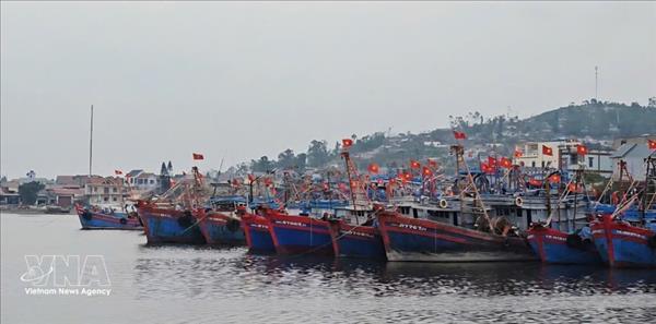 Thanh Hoa intensifie ses investissements pour moderniser les ports de pêche