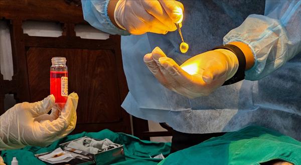 Résolution 72 : un puissant moteur pour le développement du mouvement sportif de masse