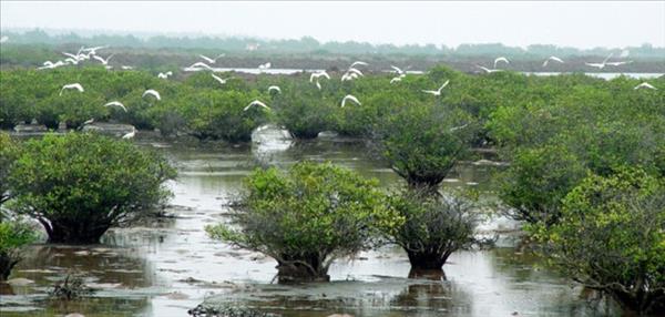 スアン・トゥイ国立公園、ASEAN遺産公園に認定